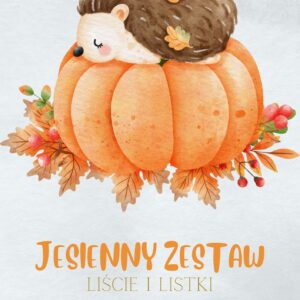 Jesienny zestaw – liście i listki